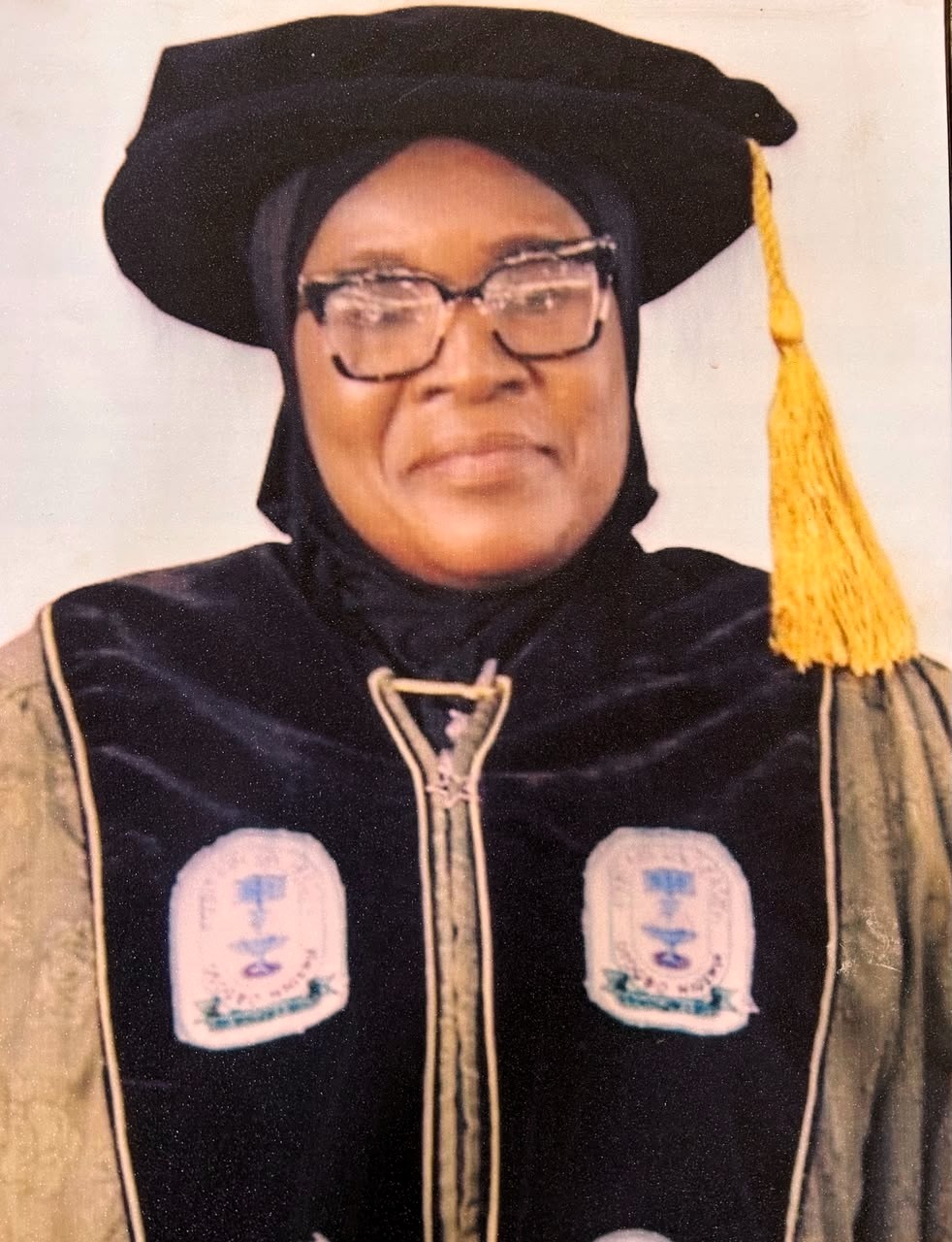 The-Vice-Chancellor